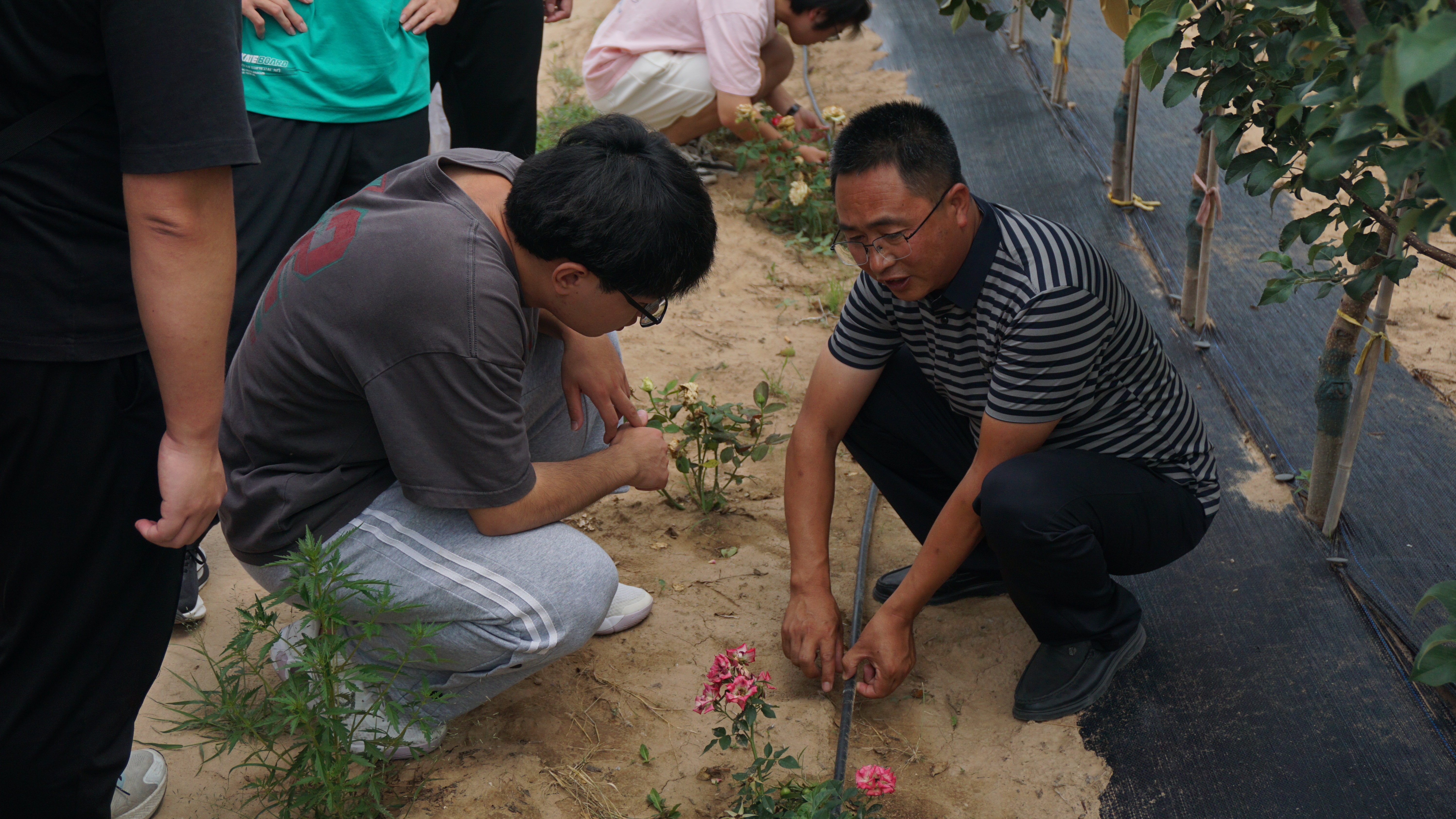 365英国上市公司