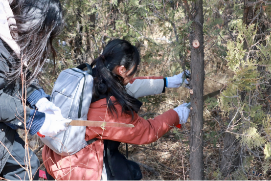 365英国上市公司