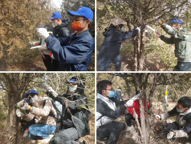 365英国上市公司