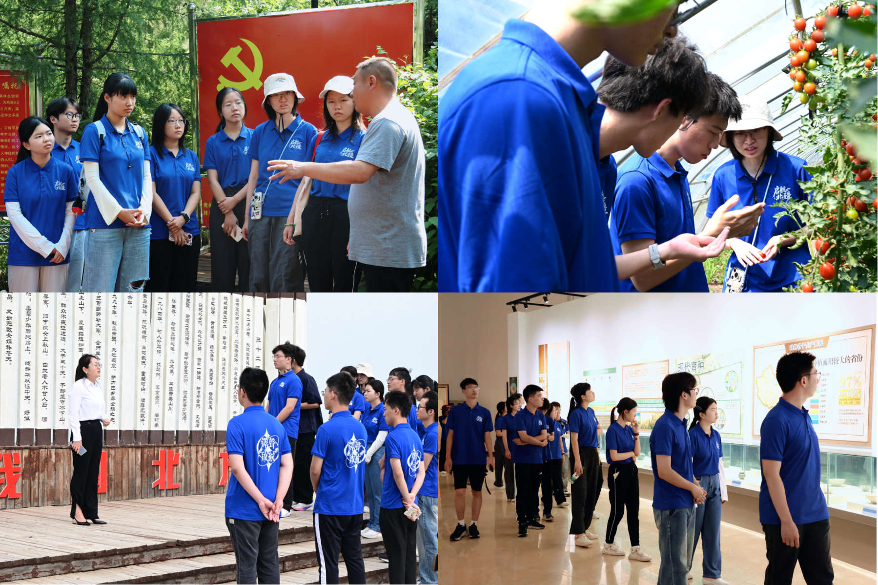 365英国上市公司