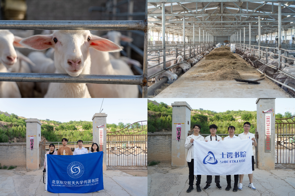 365英国上市公司