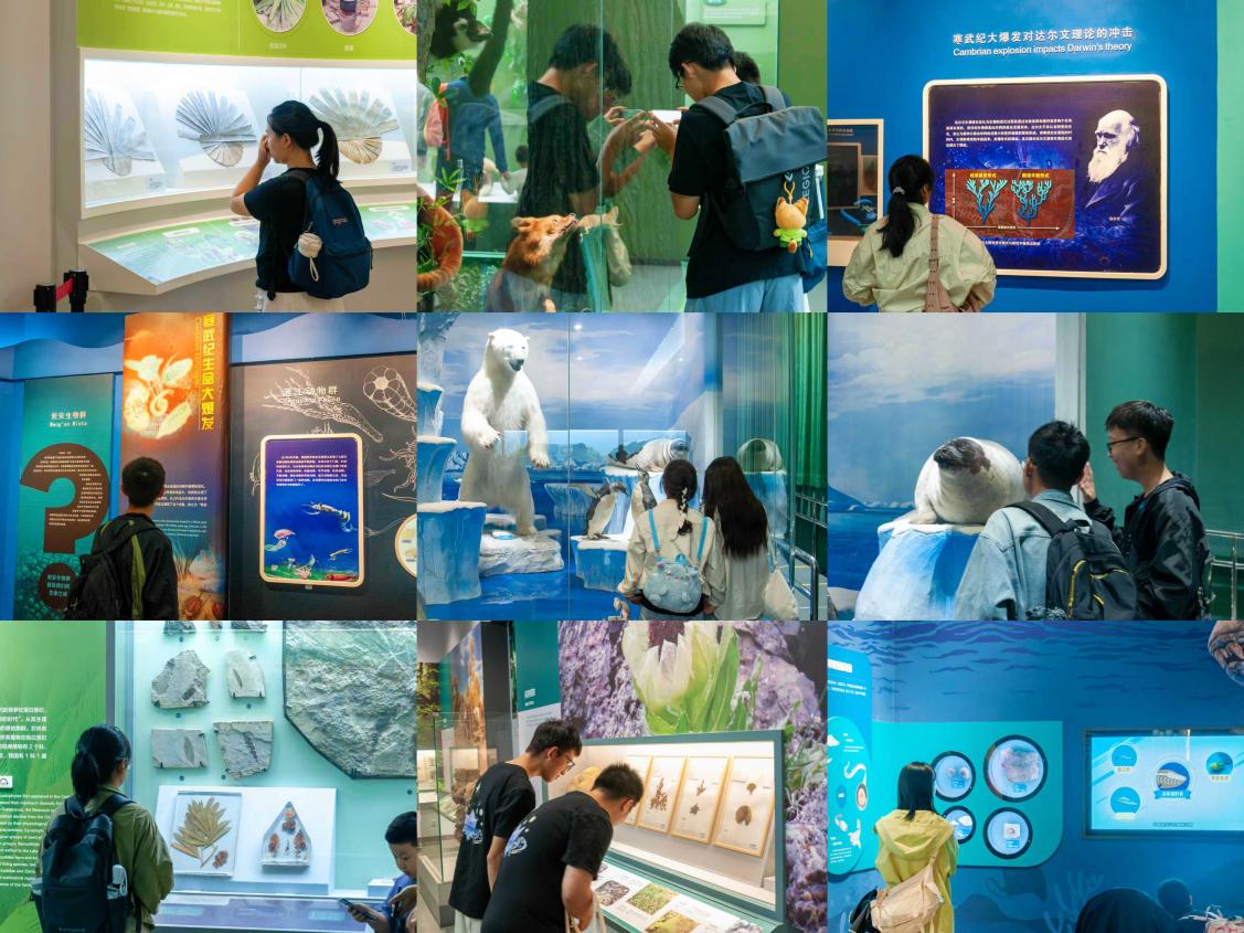 365英国上市公司