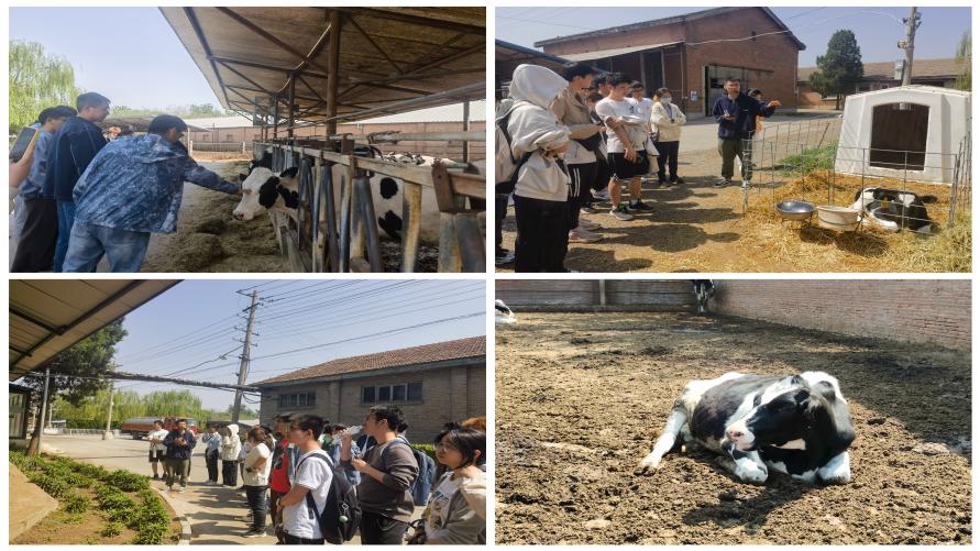 365英国上市公司