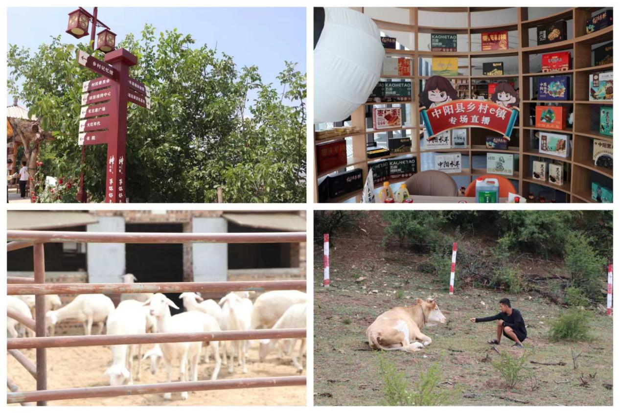 365英国上市公司