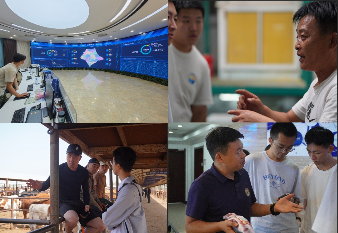 365英国上市公司