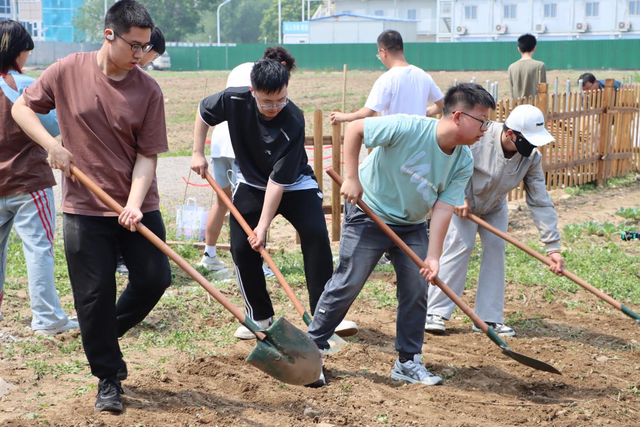 365英国上市公司