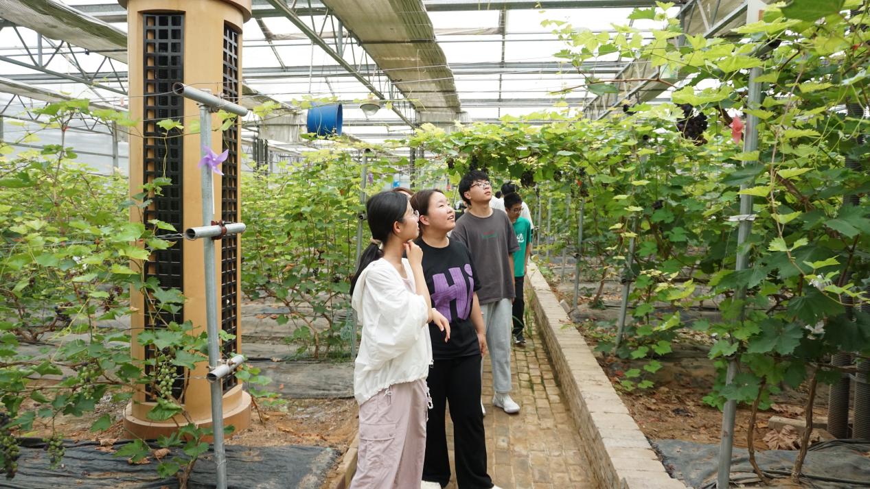 365英国上市公司