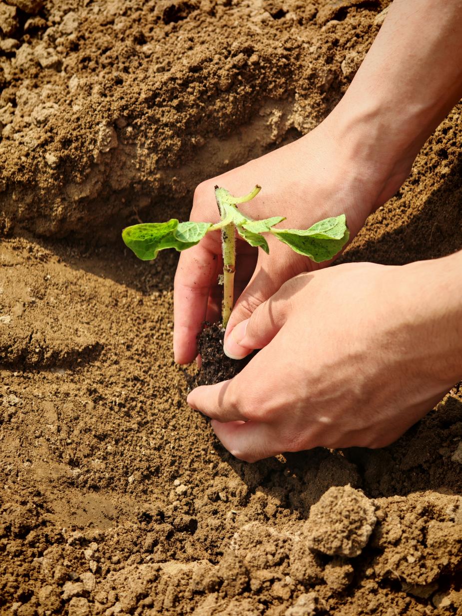 365英国上市公司