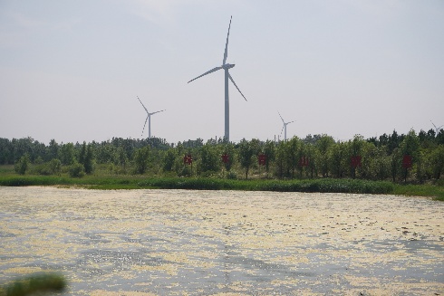 365英国上市公司